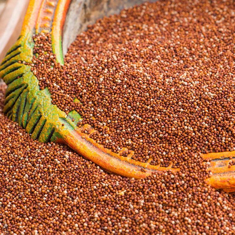 Ragi (Finger Millet)