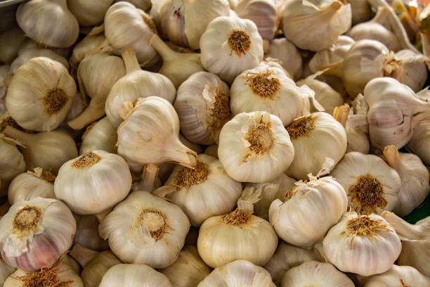 Garlic (Vellulli)