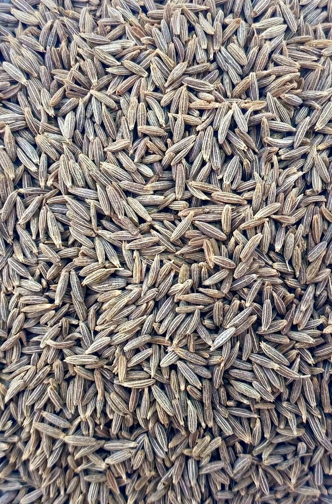 Cumin (Jeelakarra)