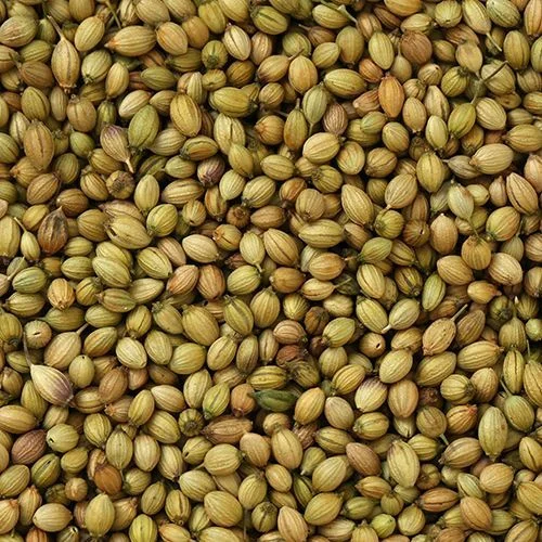 Coriander Seeds (Dhaniyalu)