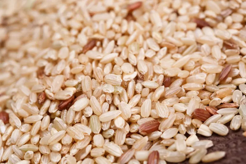 Brown Rice