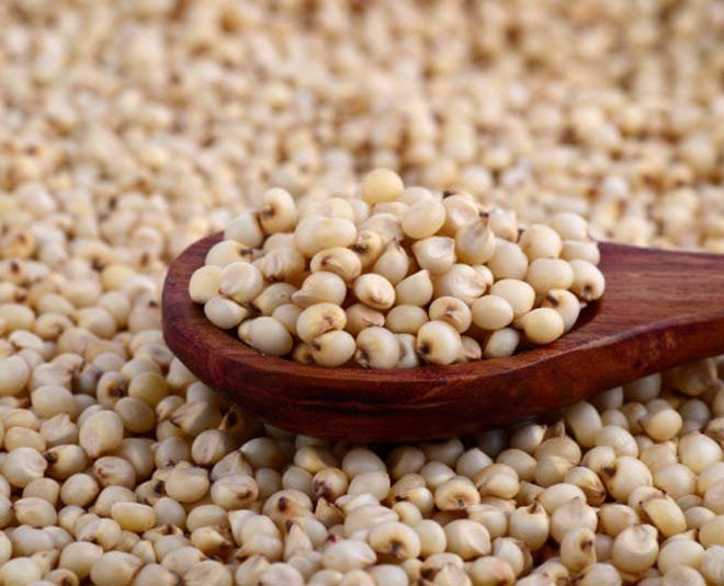 Jowar (Sorghum)